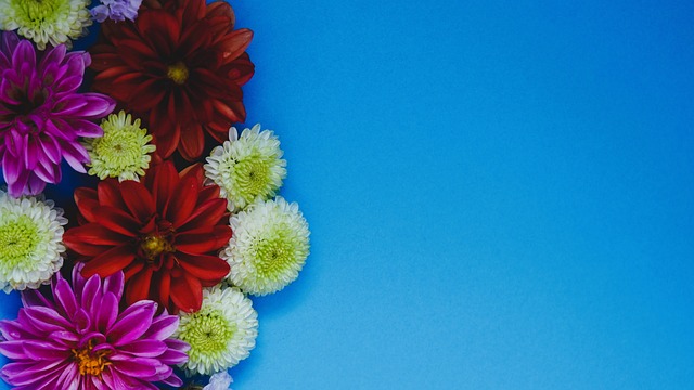 马内在这种 马内在这种