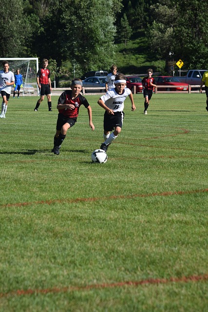 切尔基与伊 切尔基与伊