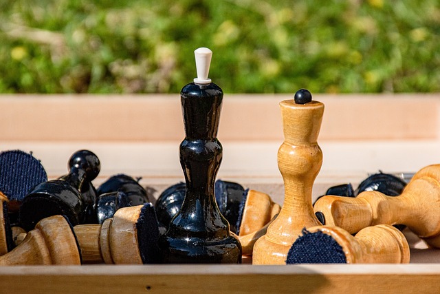 新上场所展 新上场所展