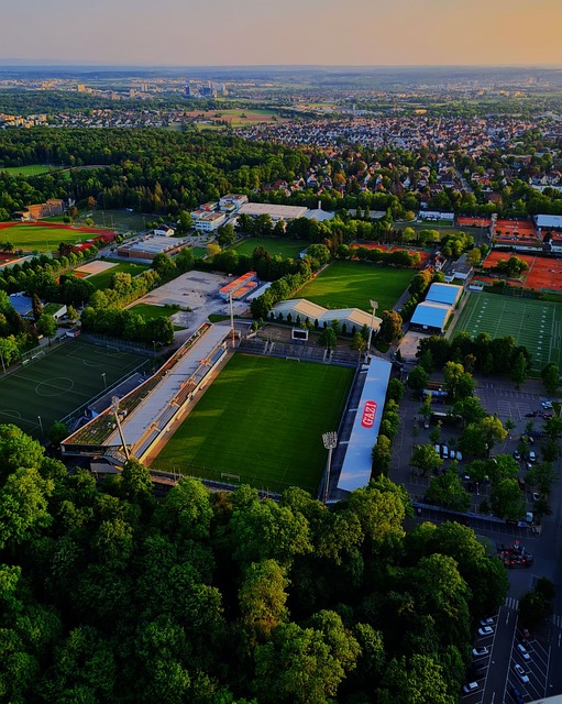 这场比赛无 这场比赛无