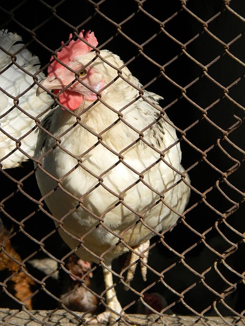 不禁思考 不禁思考