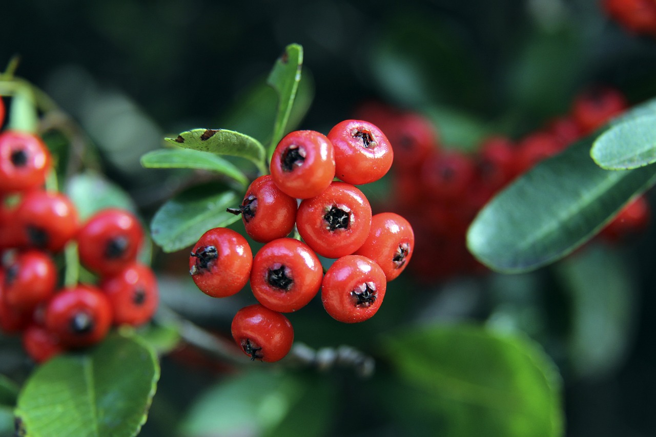 这也是许多 这也是许多