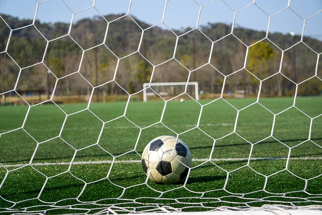 领跑射手榜 领跑射手榜