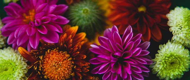 因此我们有 因此我们有