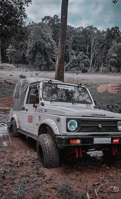 老牌劲旅 老牌劲旅