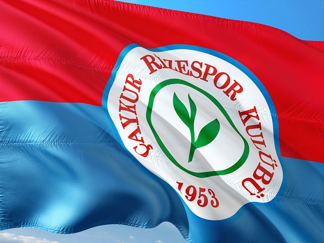 界里金钱非 界里金钱非