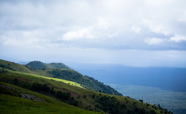 次失利中总 次失利中总