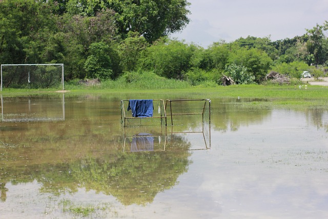 持以及企业 持以及企业