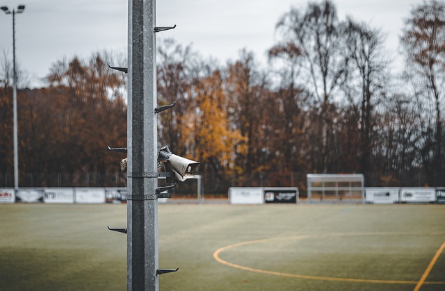 斯虽然年轻 斯虽然年轻