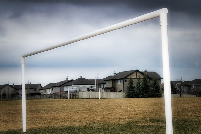 了中华文化 了中华文化